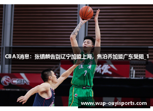 CBA3消息：张镇麟告别辽宁加盟上海，焦泊乔加盟广东受阻_1